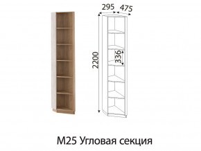 М25 Угловая секция в Копейске - kopejsk.magazinmebel.ru | фото