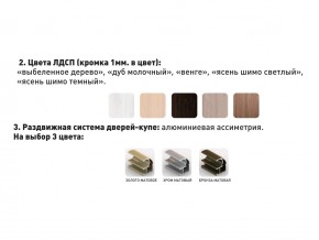 Шкаф-купе Акцент-Сим Д 1500-600 шимо светлый в Копейске - kopejsk.magazinmebel.ru | фото - изображение 3