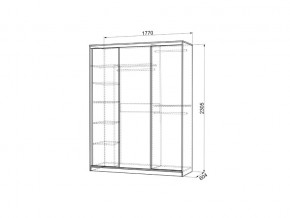 Шкаф-купе Бассо 7-600 49 венге в Копейске - kopejsk.magazinmebel.ru | фото - изображение 3