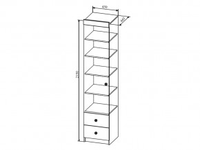 Шкаф Сканди ШД450.1 в Копейске - kopejsk.magazinmebel.ru | фото - изображение 2